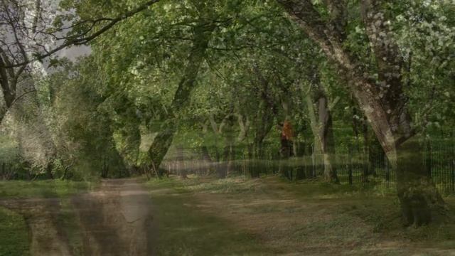 "УЖ ТЫ САД , ТЫ МОЙ САД"... (Поёт Виктория Иванова) смотреть онлайн