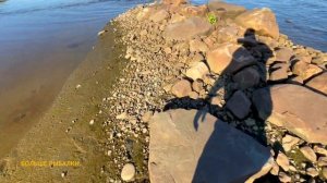 За КАМБАЛОЙ | "Клюёт всегда. В прилив, отлив !" ПРОВЕРЯЕМ !