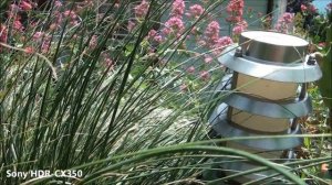 Sony HDR-CX350 TEST