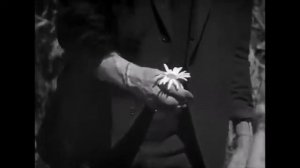 Кто такой голем?  Разбор мифов и легенд