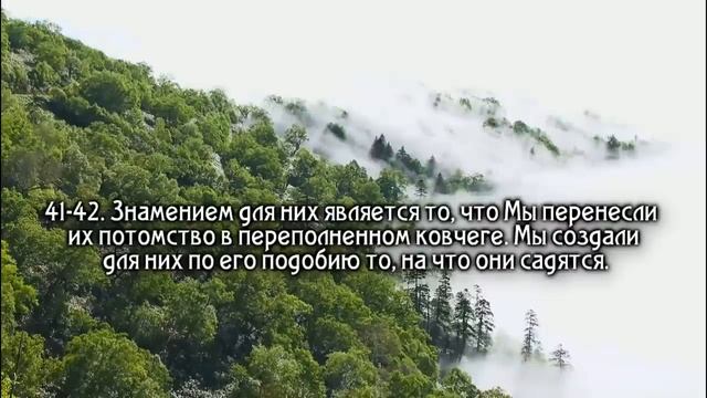 Сура Ясин перед сном. смотреть онлайн