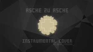 Rammstein - Asche Zu Asche (instrumental cover) [live-version] [all original synths]