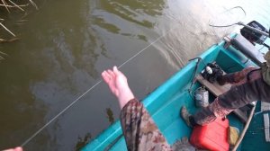 РЫБАЧИВ - МЫ УВИДЕЛИ ВЕРЕВКУ ПРИВЯЗАННУЮ ЗА КУСТ НО КОГДА ЗА НЕЕ ПОТЯНУЛИ....