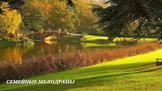 Лежала в больнице и подслушала странный разговор мужа... смотреть онлайн