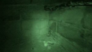 Александра Киевская (♥)