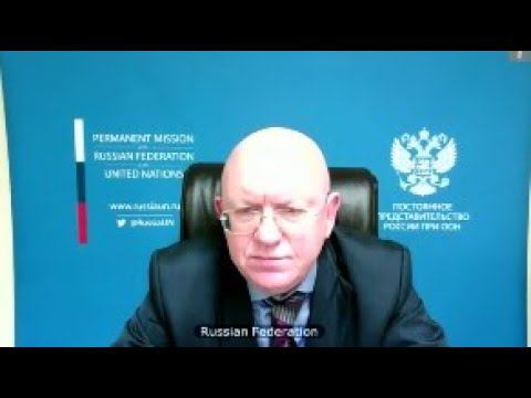 Statement by Amb. Nebenzia in response to the statements by representatives of Germany and the UK
