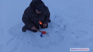 РЫБАЛКА НА ИСКУССТВЕННОМ ВОДОЁМЕ. Щука клюёт без перерыва.