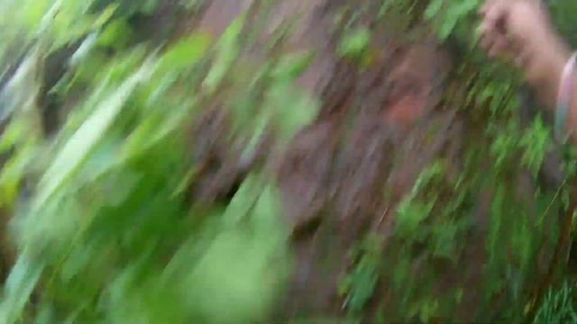 Trekking to the hidden fort | top of vizag | telugu vlogs смотреть онлайн