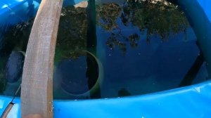 Экскурсия на мини УЗВ с креветкой