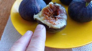 Смоква или инжир. Открытие нового вкуса