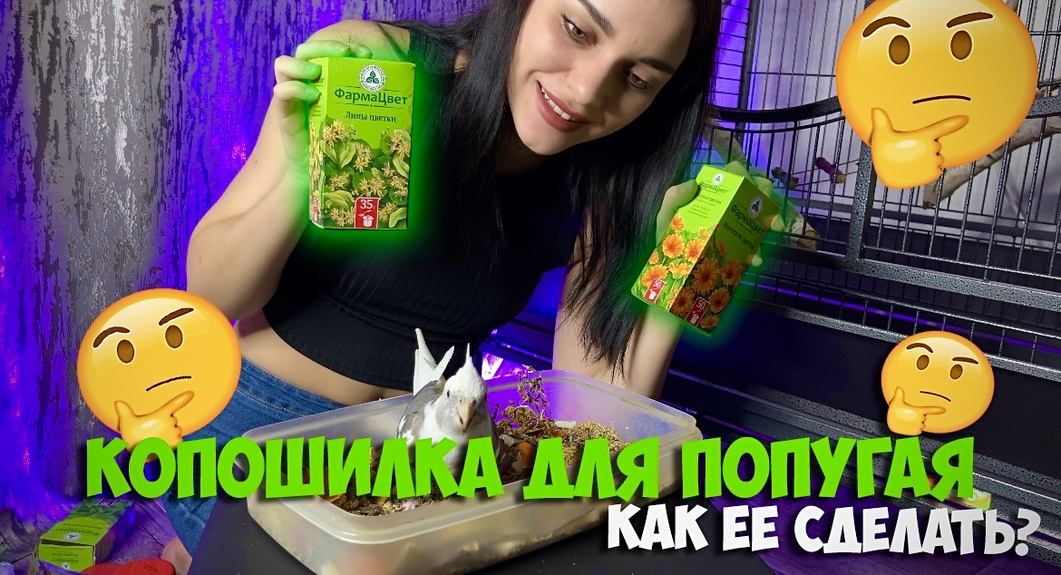 КОПОШИЛКА ДЛЯ ПОПУГАЯ