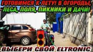 Рассмотрим 2 варианта портативных колонок ELTRONIC 20-36 и Eltronic 20-37 Fire Box  и Dance Box.mp4