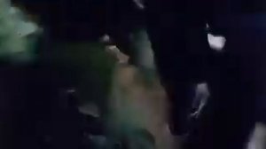 Красная пантера