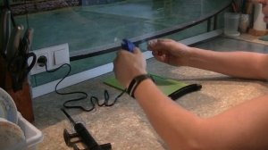 #Upgrade внешнего фильтра для очистки поверхности воды в аквариуме.