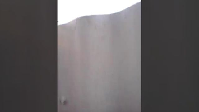 Продолжение Vlog:Куча Редких Растений Лотосов смотреть онлайн