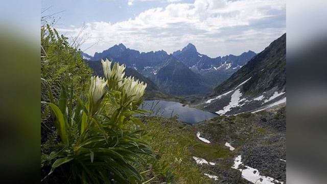 Байкал. Баргузинский заповедник смотреть онлайн