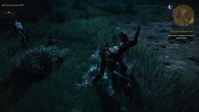 The Witcher 3 фарм крон + спавн драконидов часть 1 (сбор) смотреть онлайн