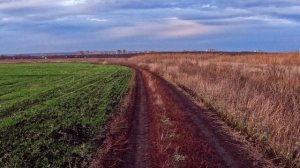 Что такое осень это небо...