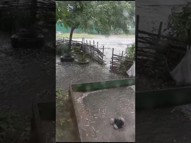 сильный град в омске молит листву на деревьях смотреть онлайн