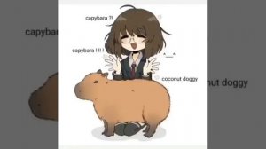 Capybara Coconut Doggy