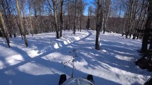 Покатушки на снегоходах Тайга Варяг 500,550. Снег отменный Едем везде Погода класс Вокруг красота