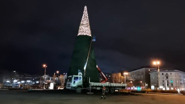 В центре Мурманска елку начали украшать гирляндами