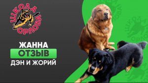 Два бурят-монгольских волкодава охотились на людей. Как остановить?