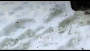 Ты как облако В Калина
