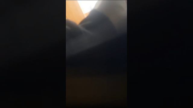 Анапский городской суд 07.06.2023 г. демонстрирует запрет на вход маломобильным группам населения