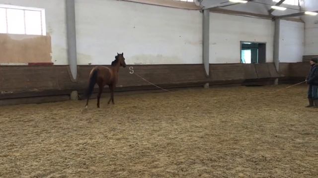 Морэна смотреть онлайн