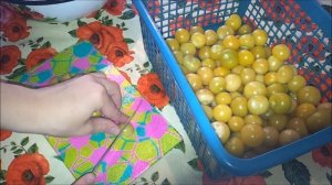 Физалис овощной - рецепт приготовления варенья из физалиса.