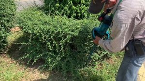 Makita DUH502 Cordless Hedge Trimmer / First Time For Him Use DUH502
