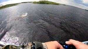 Рыбалка на реке Пур. DF 54