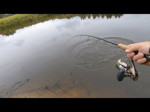 Первые осенние щучки, рыбалка на пруду.