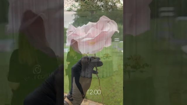 Декораторы в Киеве Wedding Art - Бекстейдж свадьбы в пудровом и сером цветах смотреть онлайн