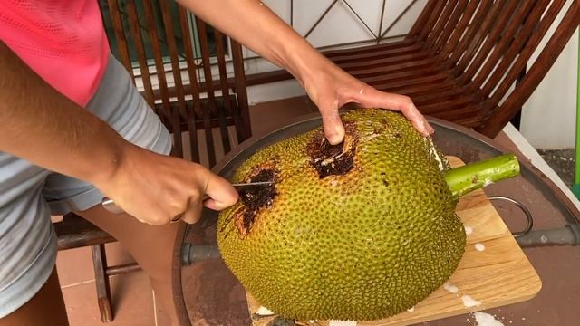 Фрукты в Таиланде. Джекфрукт или хлебное дерево смотреть онлайн