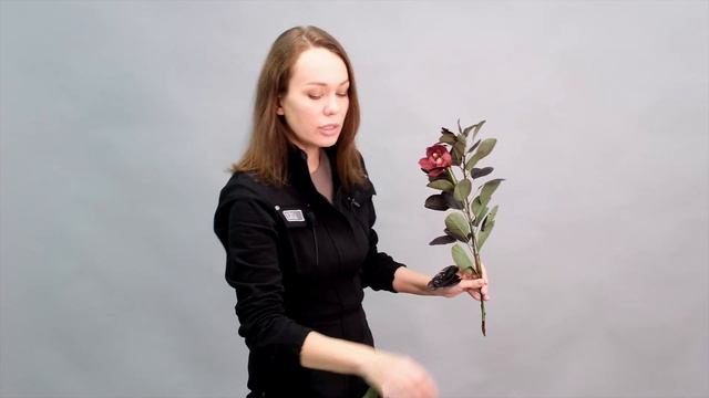 Букет до 2 тысяч рублей// флористика для начинающих смотреть онлайн