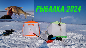 Ловля ЛЕЩА, плотвы в ПАЛАТКЕ. Зимняя рыбалка 2024 на Белом озере.