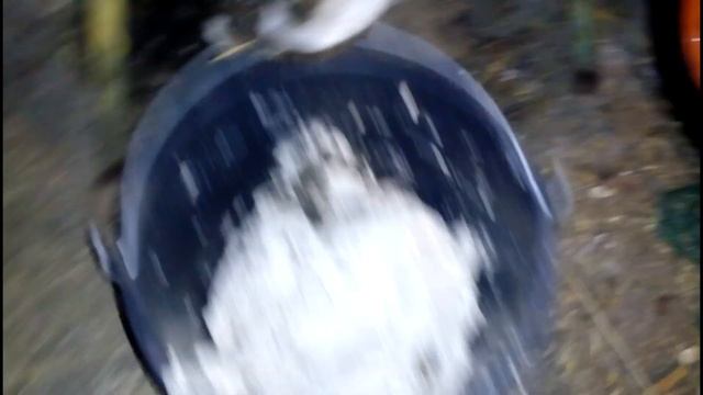 телятник готов принять теленка//ждём отел Кнопки//коровы на прогулке смотреть онлайн