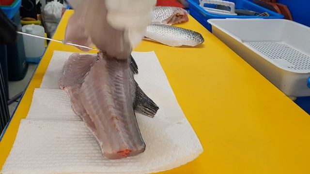 참돔 마쓰까와, 알배기 농어, 양식 참숭어 회뜨기, Delicious Assorted Sashimi смотреть онлайн