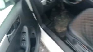 1.4 tsi 122 caxa растяжение цепи. Звук до замены на холодную.