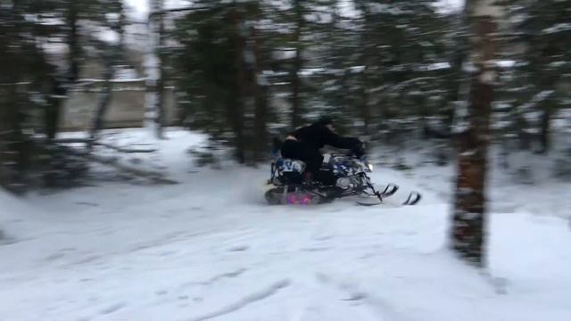 dingojump FL смотреть онлайн