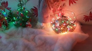 Как нарядить квартиру?Новогодний Декор комнаты  к Новому Году.5 идей для украшения дома