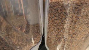 очистка ПШЕНИЦЫ от ГОРЧАКА на сепараторе САД 🏭 ООО НПФ АЭРОМЕХ