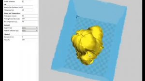 Использование 3D сканера в связке с 3D принтером