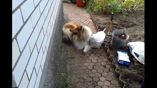 26.08.2017 Смотреть всем! "ВКУСНАЯ ГРЯДКА" смотреть онлайн