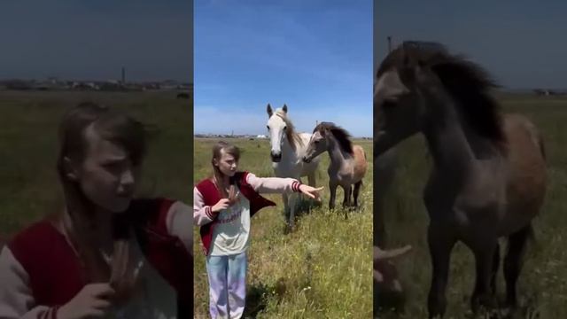 Красивые лошадки #мойденьизжизни #2023 #деньизжизни #мойвлог #крым #дети