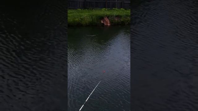 Рыбалка смотреть онлайн