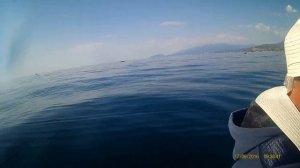 Ловля луфаря - 3  Крым Рыбачье.