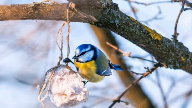 Баночка икры открыла мне глаза #изжизни смотреть онлайн